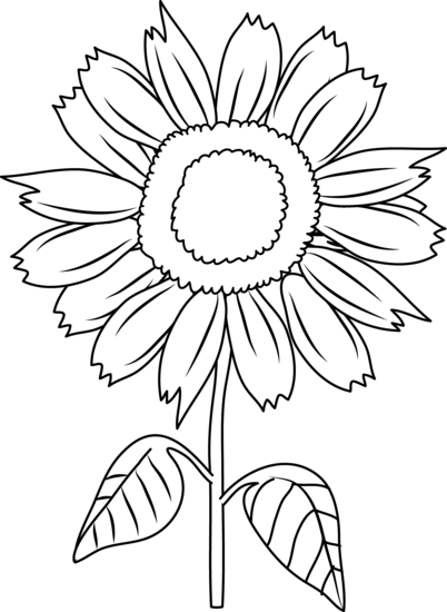 Free Black Sunflower Cliparts Download Free Clip Art Free Clip