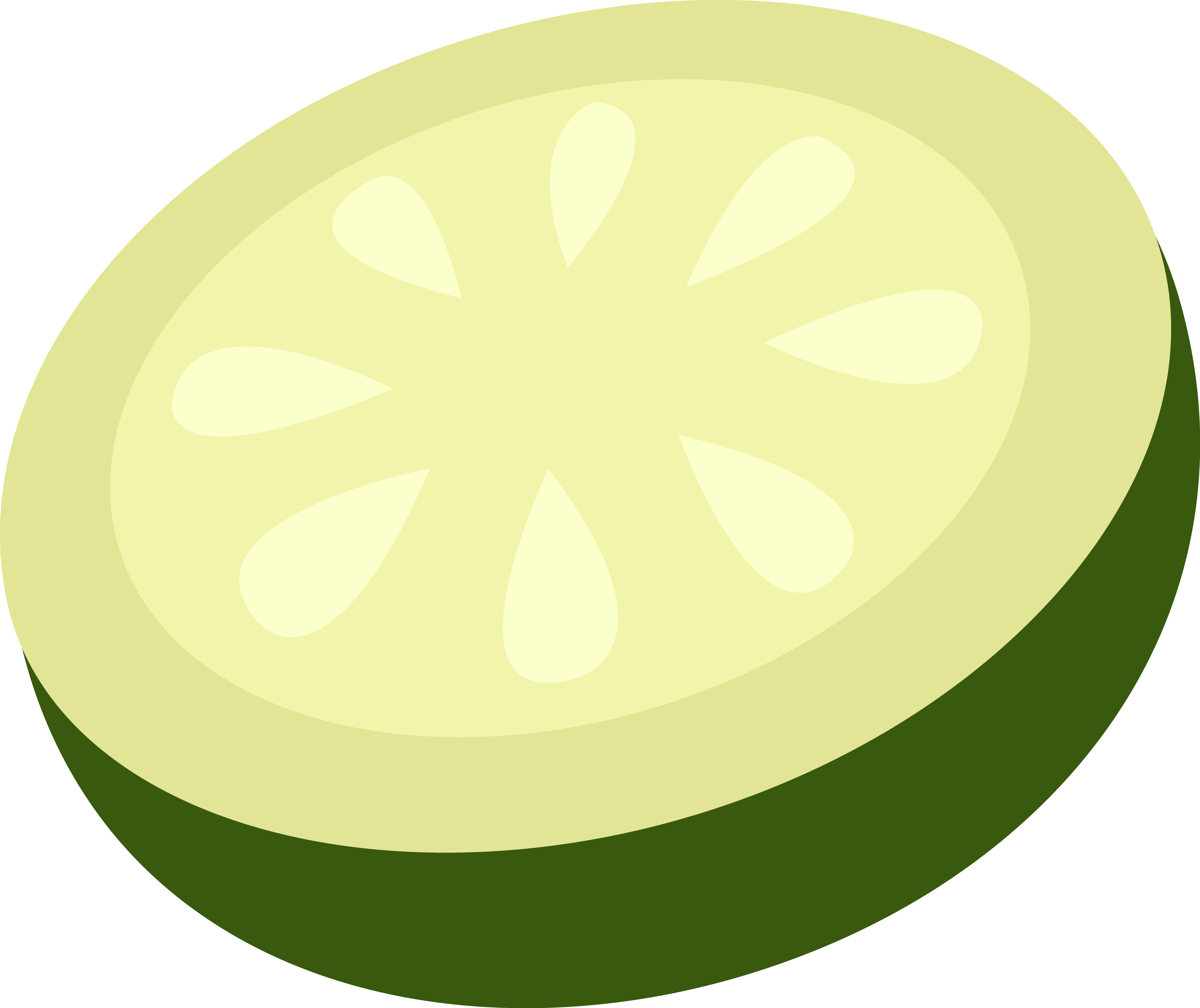 Cucumber slice clip art 