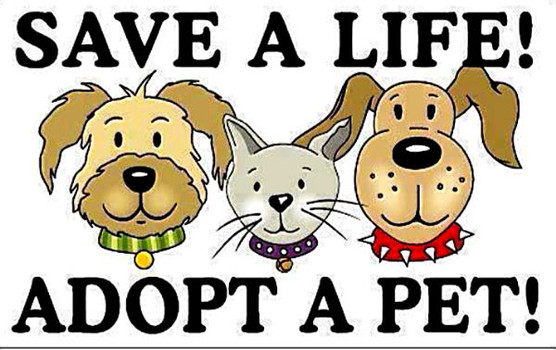 Dog Birth Certificate Pdf Template Clip Art Library