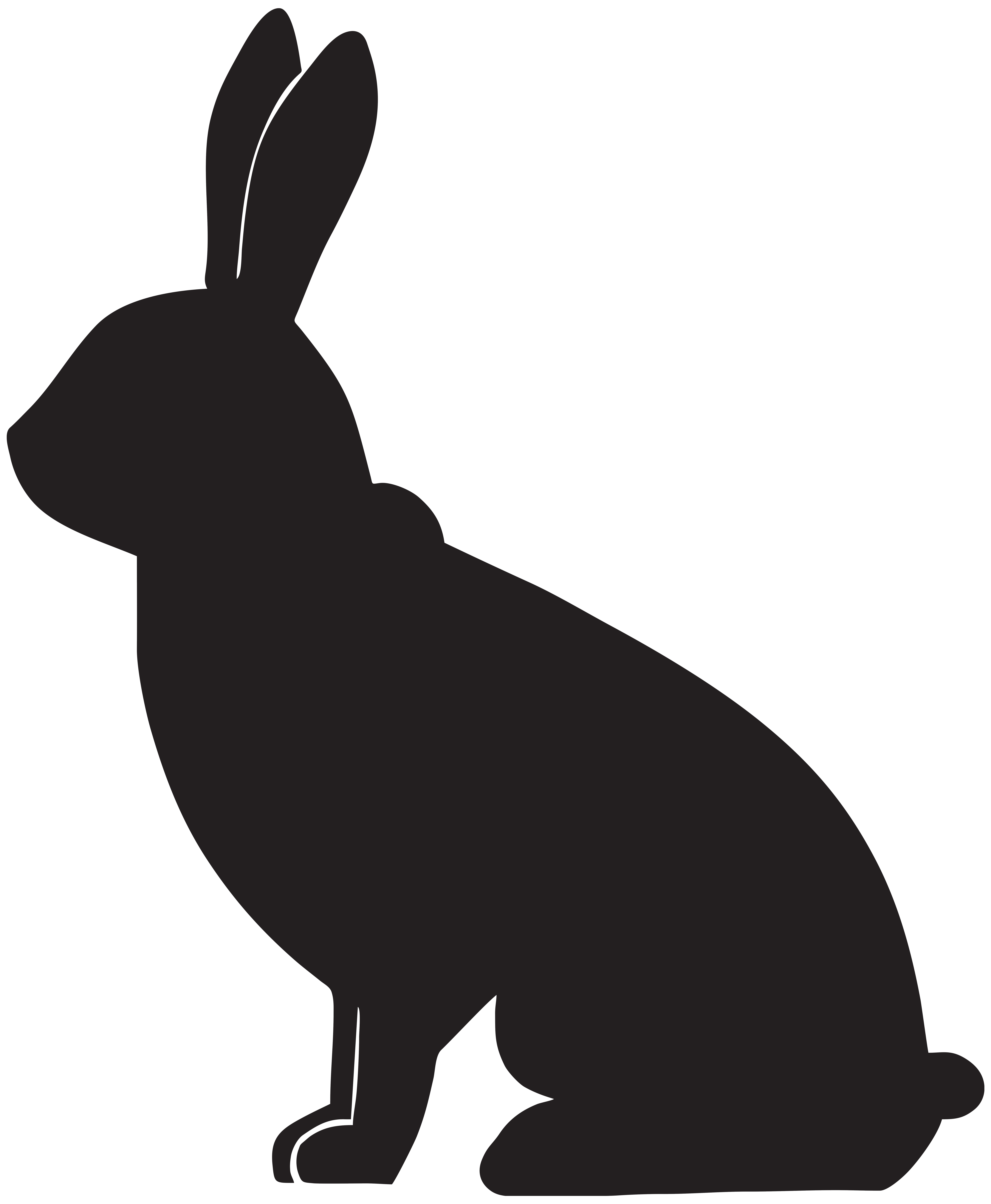 Rabbit Silhouette PNG Clip Art Image 