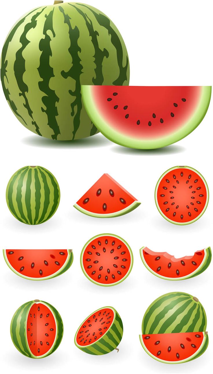 Watermelon Illustration 