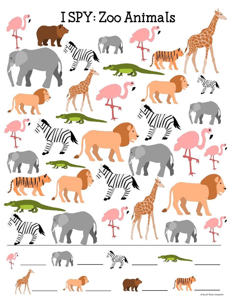 Free Preschool Zoo Cliparts Download Free Preschool Zoo Cliparts png