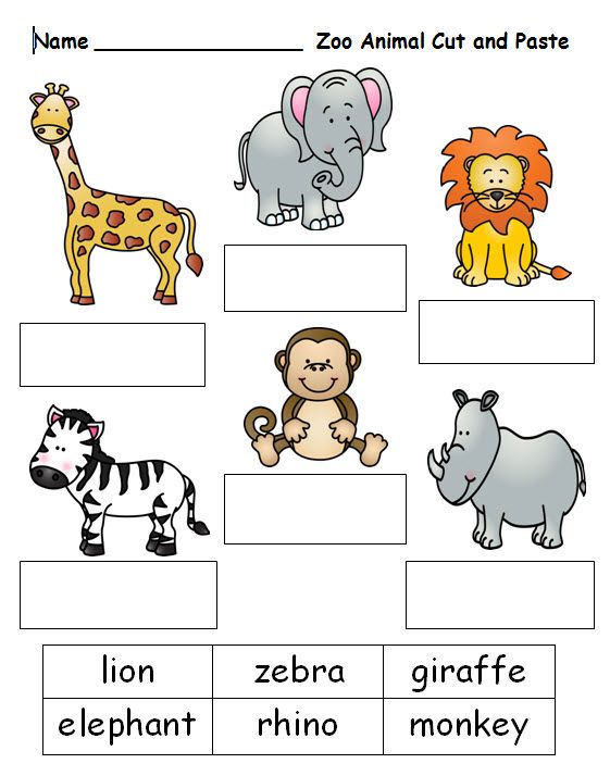zoo-animals-worksheet-for-kids-clip-art-library