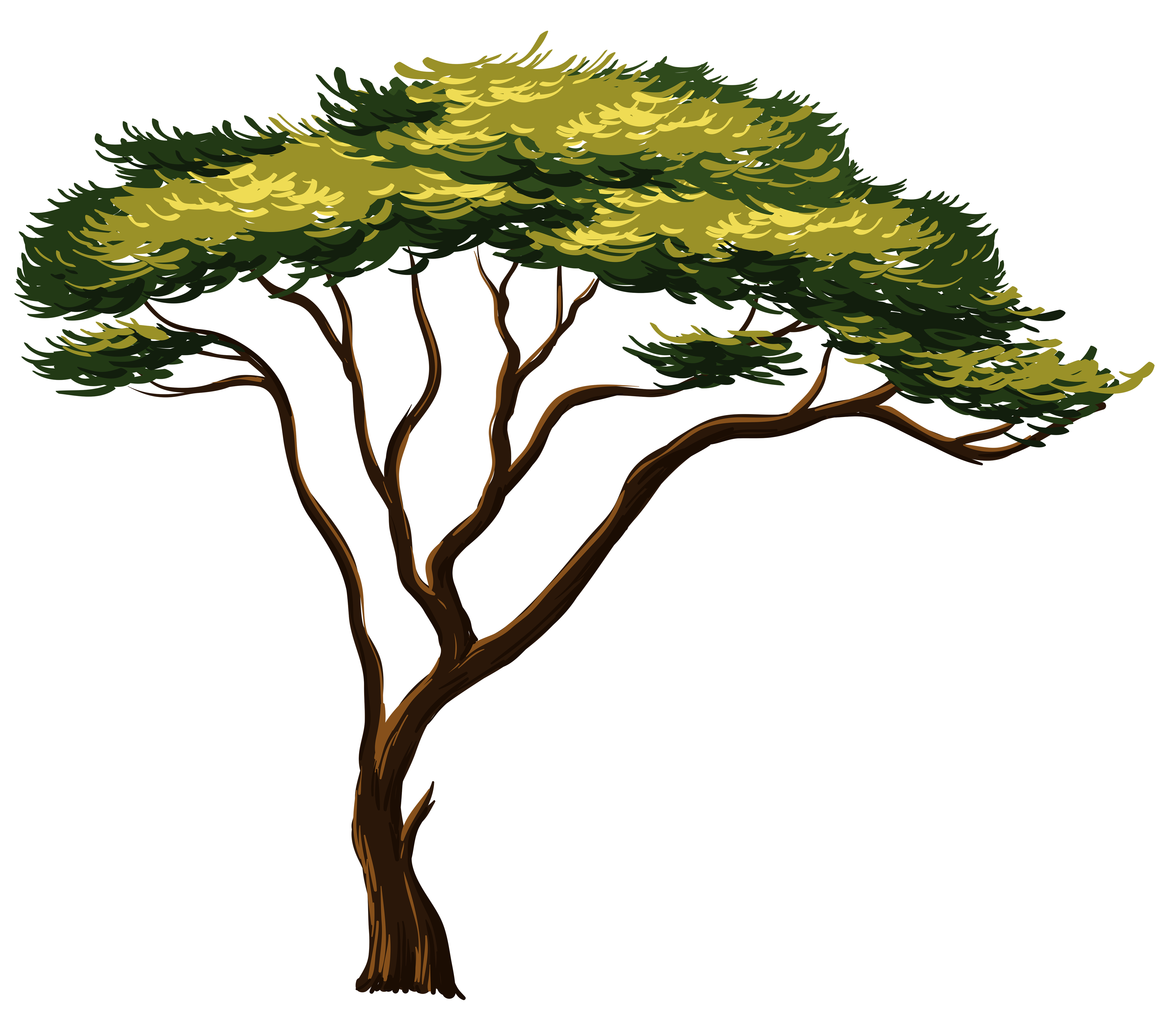 Painted African Tree PNG Clipart Picture 