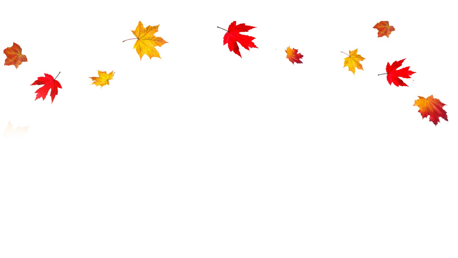 Best Of. fall leaves design: Scenic Leaves Transparent Background 