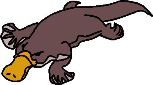 Platypus Clipart 