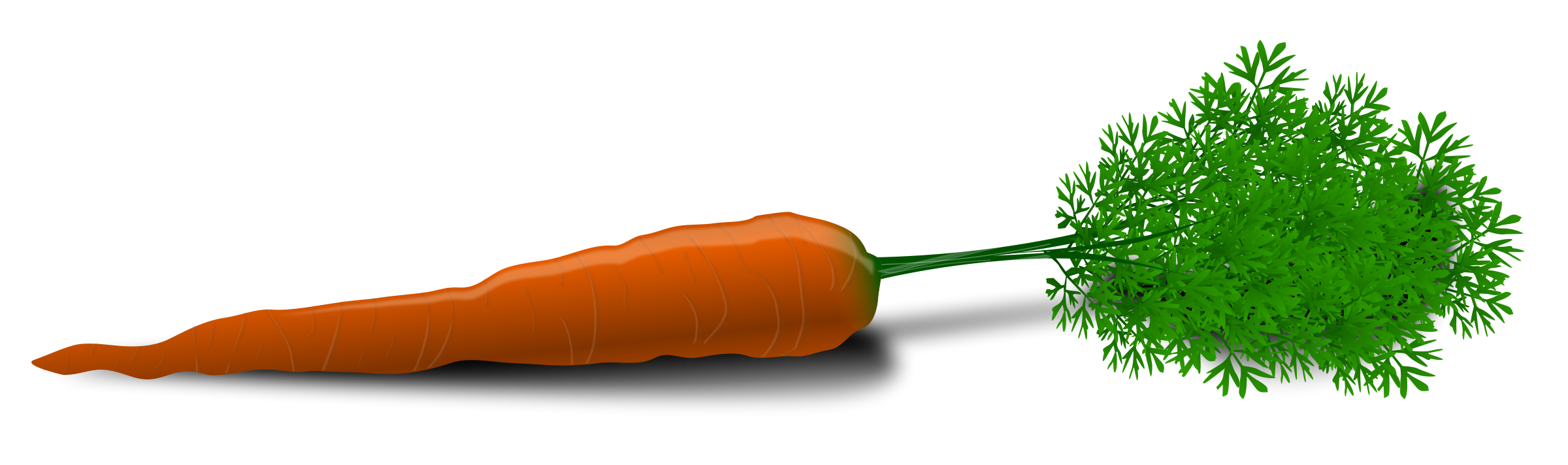 carrot PNG4986 
