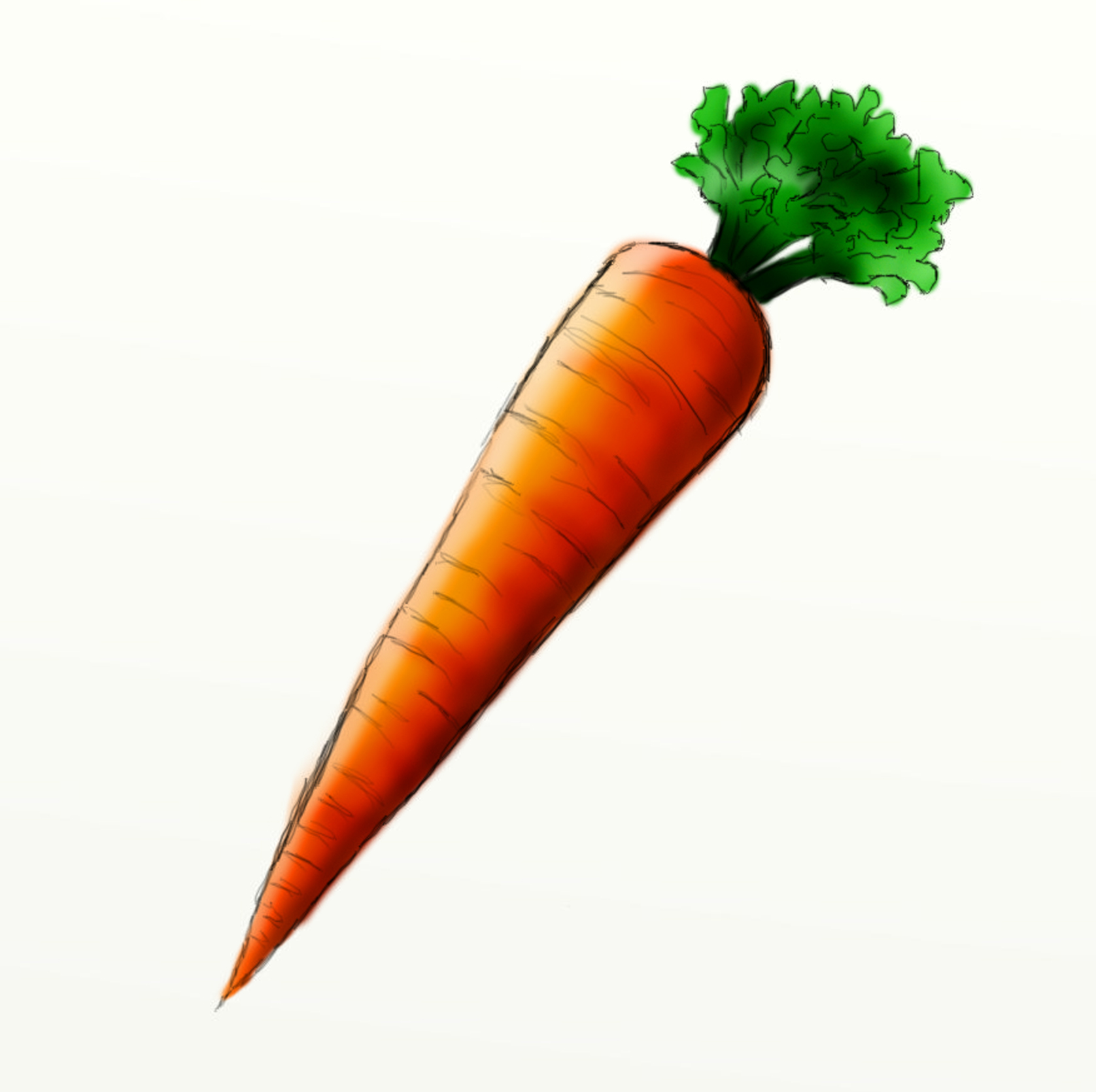 Picture Of Carrot 