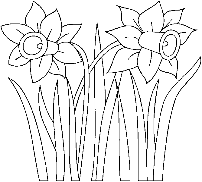 daffodils flower clipart black