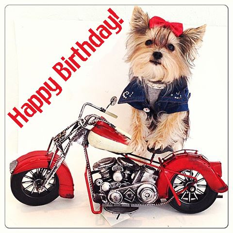 Happy birthday biker babe