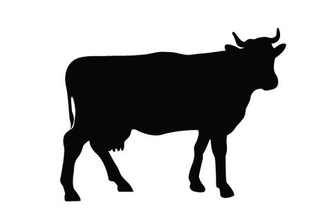 Cow silhouette vector � Silhouettes Vector 