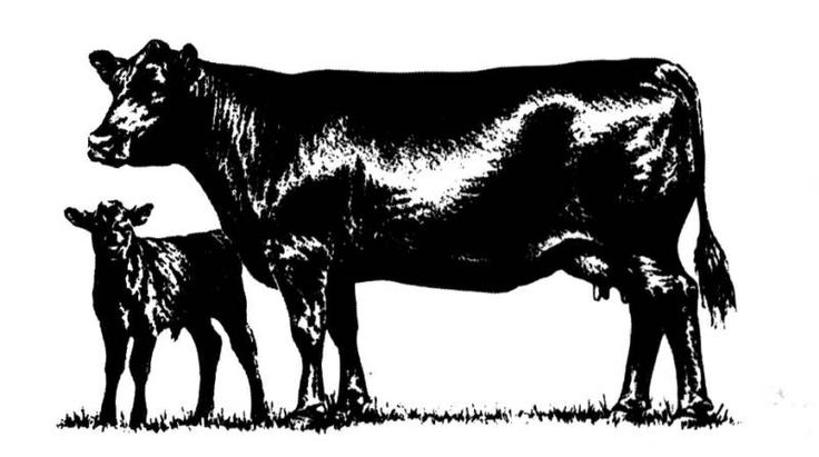 cow calf silhouette