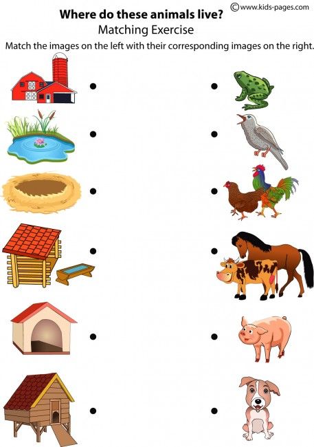 home of different animals - Clip Art Library