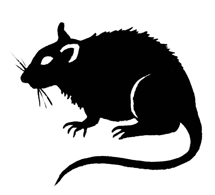 Rat head and oars clipart 