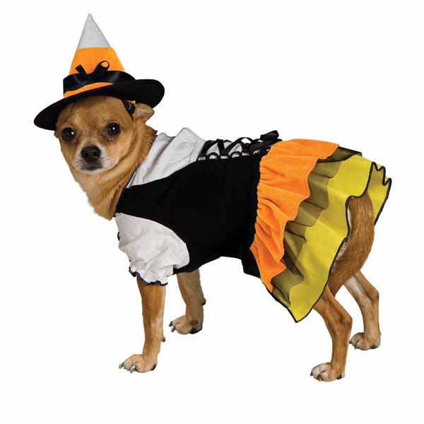 Dog in halloween costume clipart 