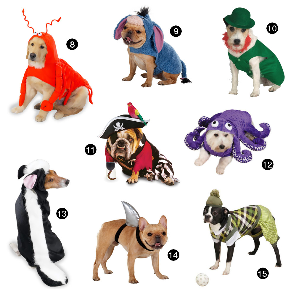 Halloween Hounds: 22 Adorable Dog Costumes for 2014 
