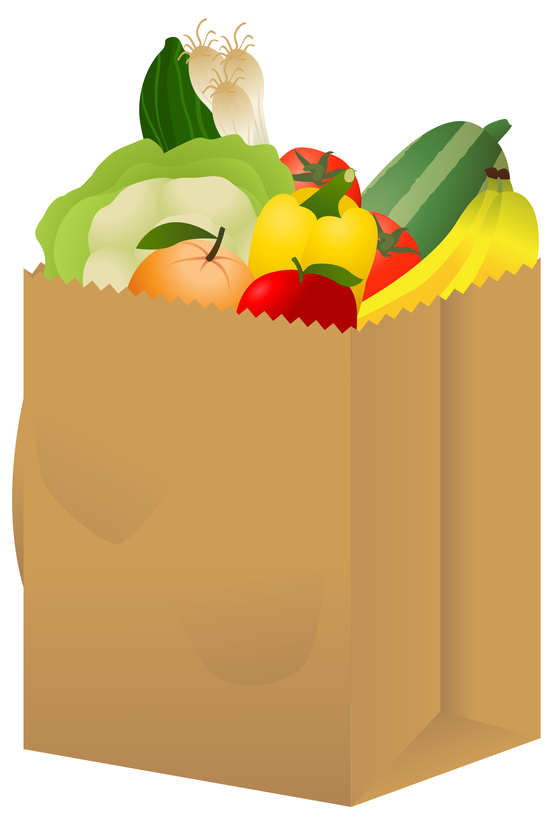 grocery bag clipart png.