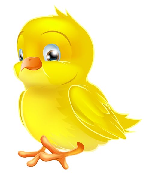 Yellow easter chick clipart 