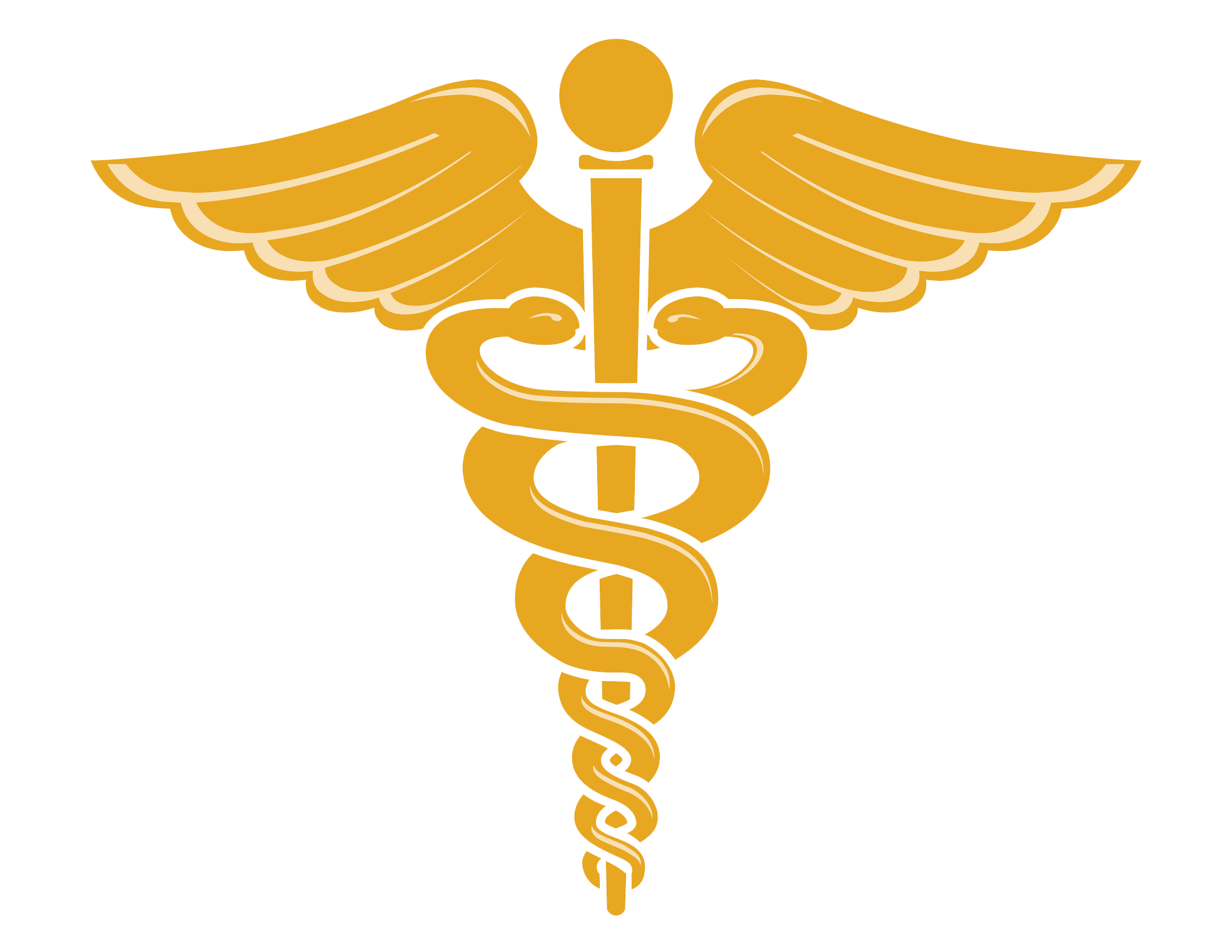 Doctor Symbol Caduceus PNG Transparent Image 