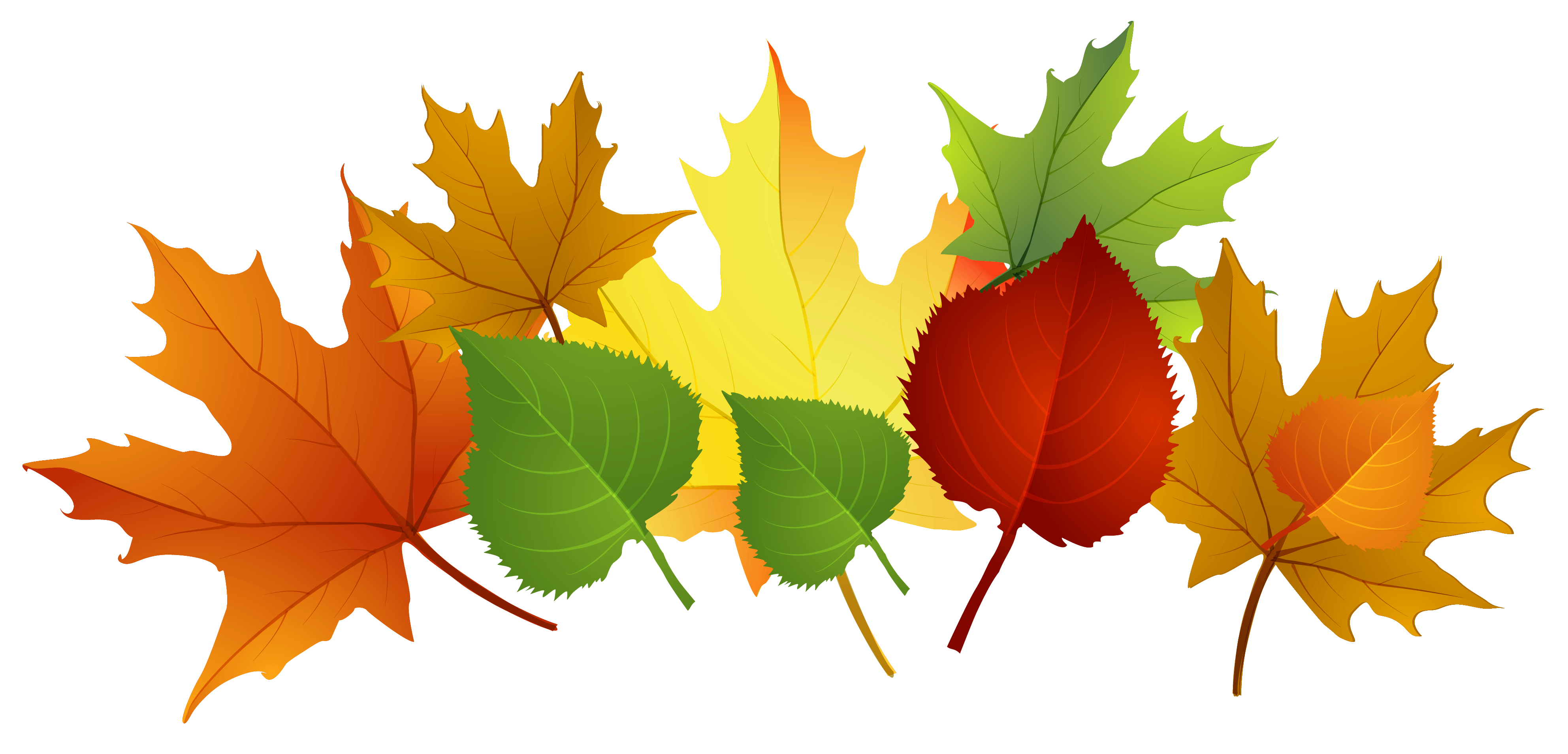 clipart images of fall leaves