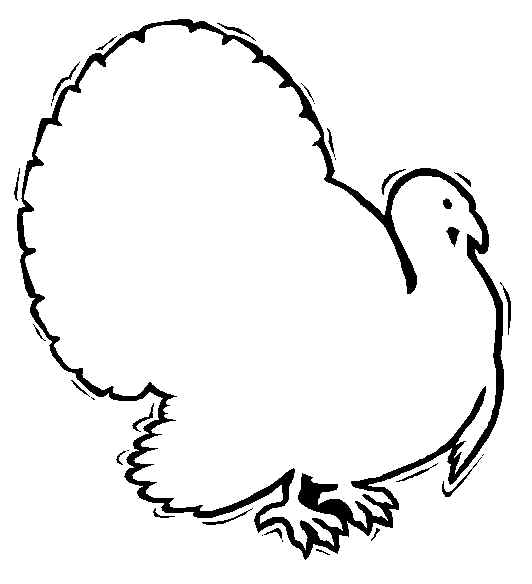 Turkey Outline Free Clipart 