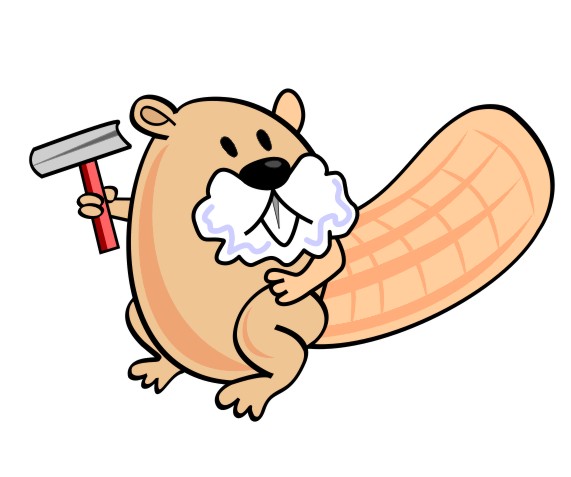 Clip Arts Related To : shave beaver. view all Shaved Beaver Cliparts). 