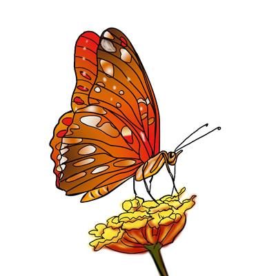 24 FREE Butterfly Clip Art Drawings and Colorful Image 