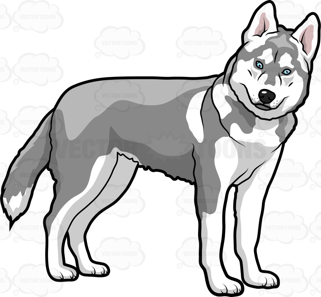 A Big Dog Turning To Face The Camera Cartoon Clipart 