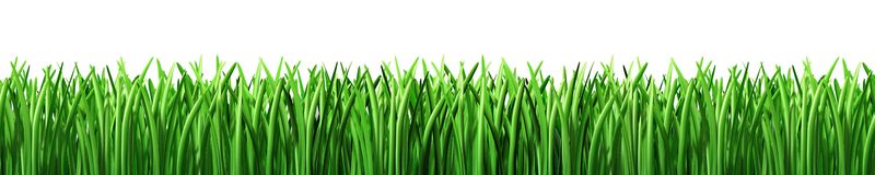Lawn Grass Clipart 