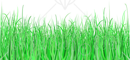 To Cut The Grass Clipart 93872 