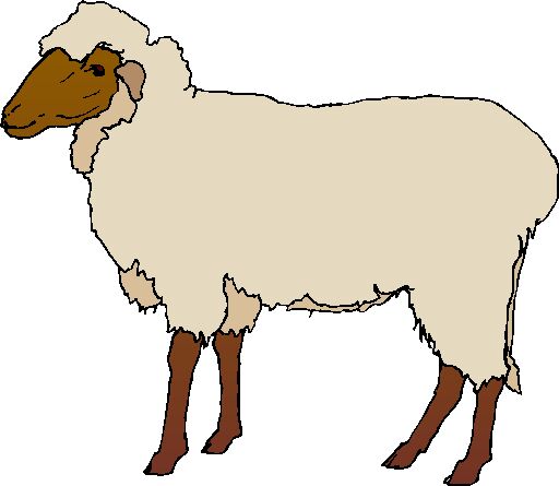 Lamb clipart 3 