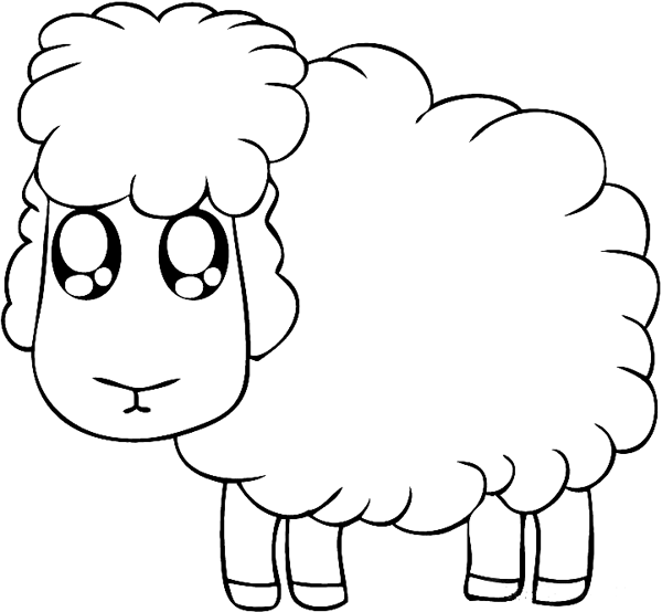 Sheep Drawings For Kids 