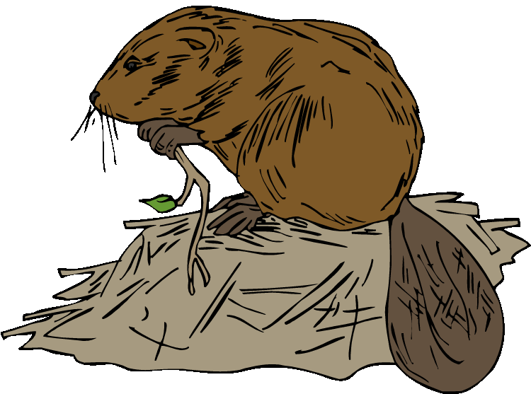 Beaver Dam Cliparts | Free Download Clip Art | Free Clip Art | on