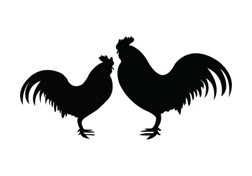 Two roosters standing face to face, Rooster Silhouette Vector is 