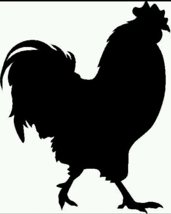 Rooster silhouette vinyl decal/sticker country animal farm 