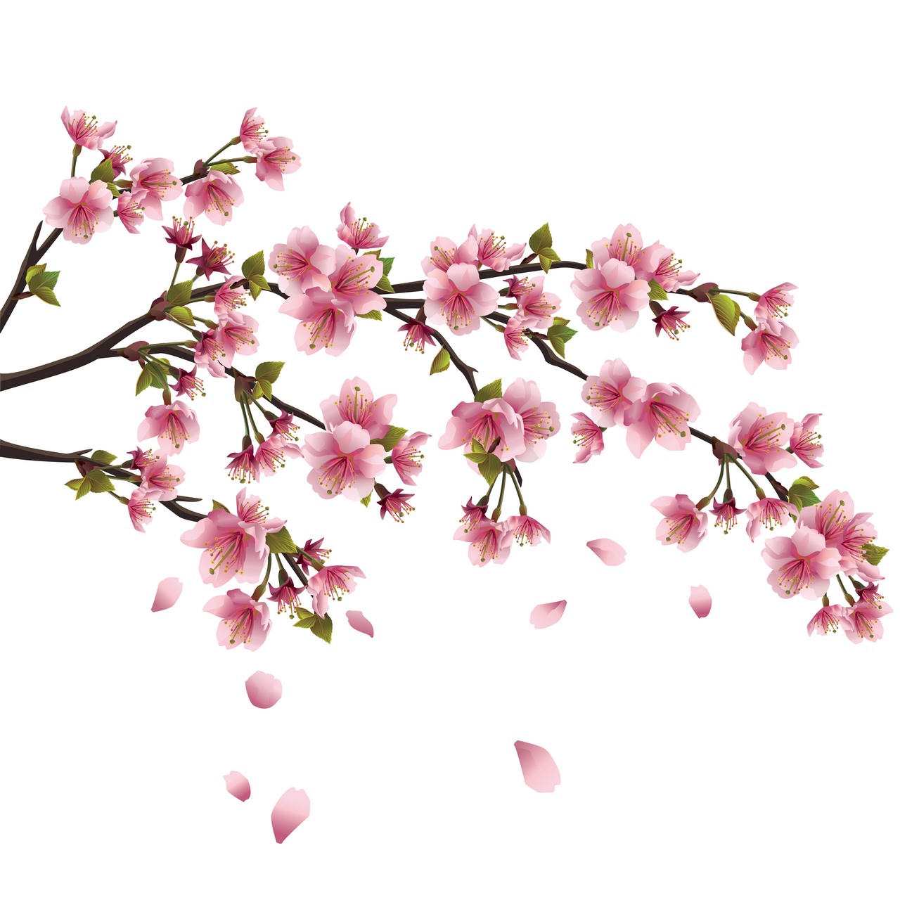 asian flowers clip art