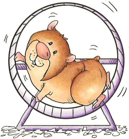 Hamster clipart free 