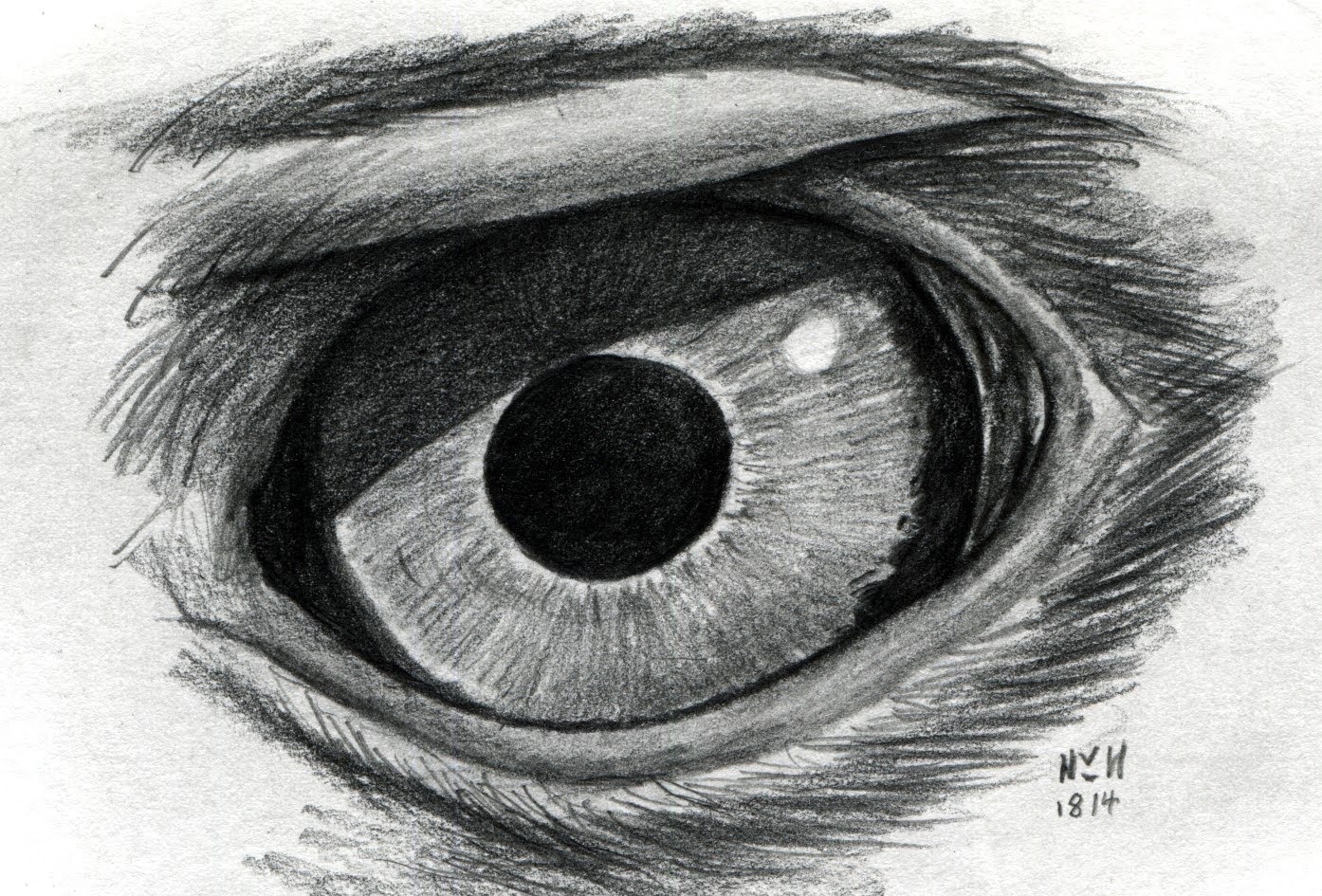 Орлиный глаз карандашом