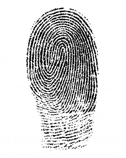 Fingerprint Clipart Free Stock Photo 