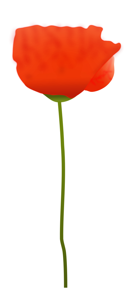 Poppy Poppy