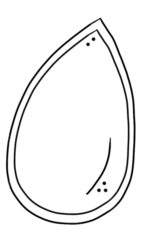 Pumpkin seed clipart black and white 