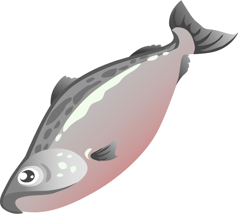 Free Cute Salmon Cliparts, Download Free Cute Salmon Cliparts png