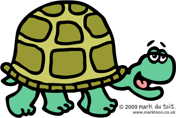 tortoise clipart 