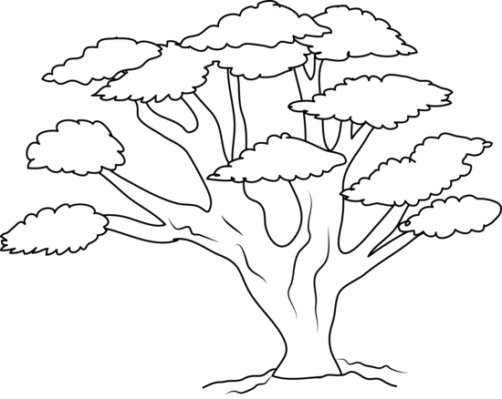 Free Tree Outline Cliparts Download Free Clip Art Free Clip Art On Clipart Library