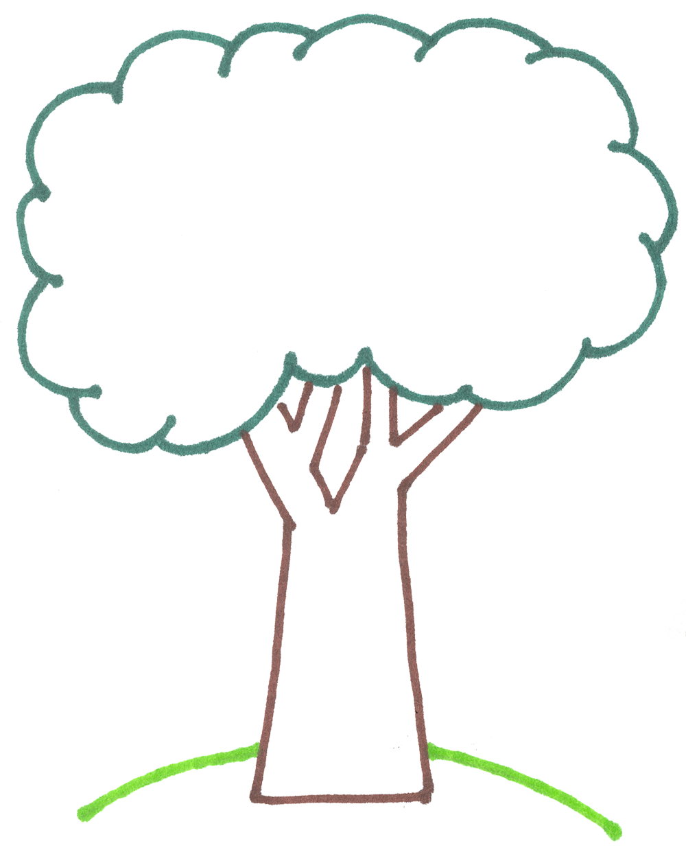 Free Tree Outline Cliparts, Download Free Tree Outline Cliparts png