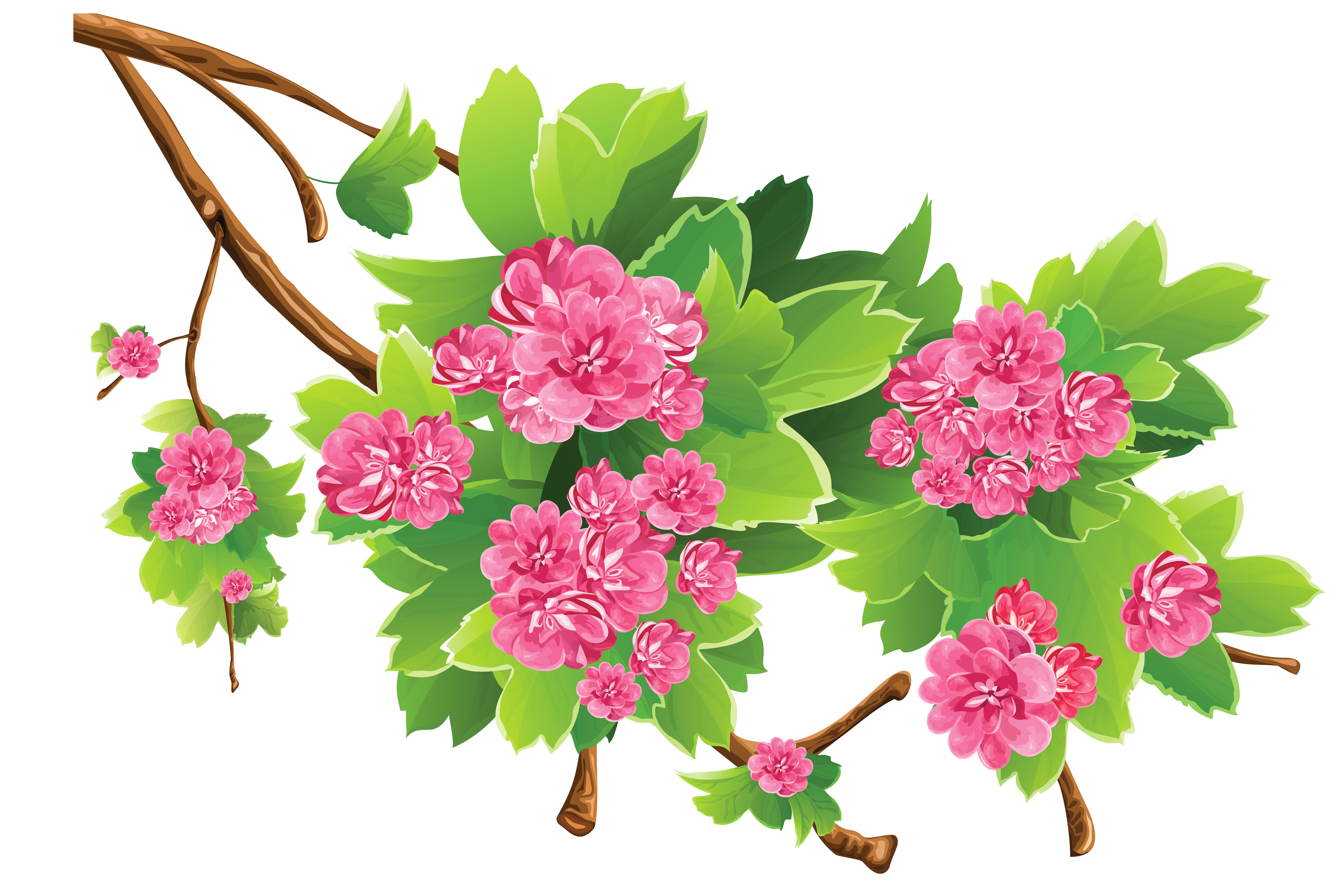 Spring Branch Transparent PNG Clipart Picture 