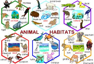Animal homes clipart 