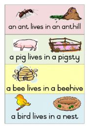 Free Animal Homes Cliparts, Download Free Animal Homes Cliparts png