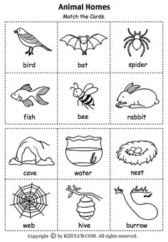 grade 1 animals and their habitat worksheet - Clip Art Library