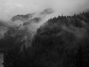 Fog Photo Clipart Image 